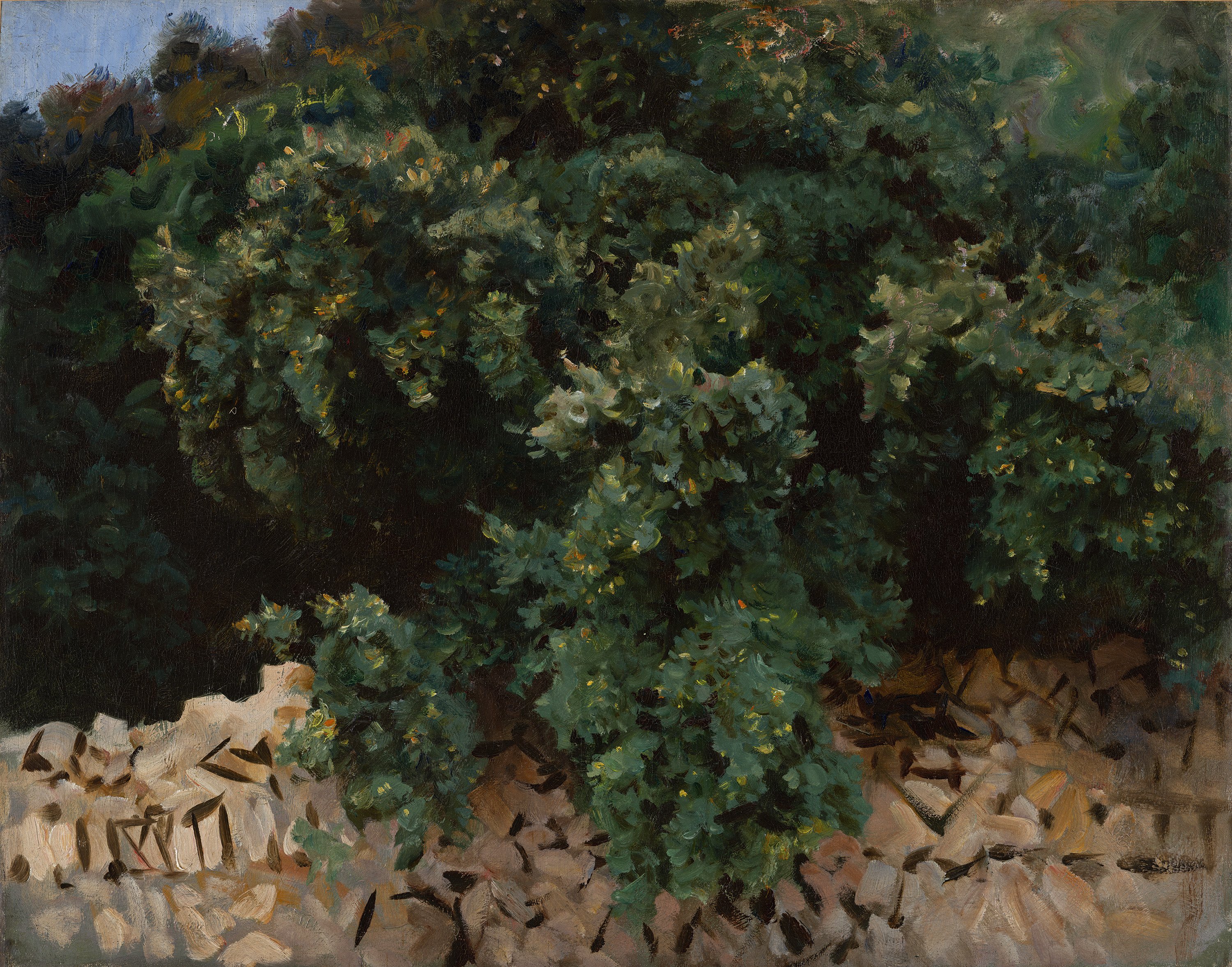 Ilex Wood. Majorca - Sargent, John Singer. Museo Nacional Thyssen
